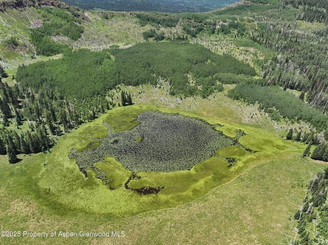 6398 County Road 4, Meeker, CO 81641 - view of property location with a forest