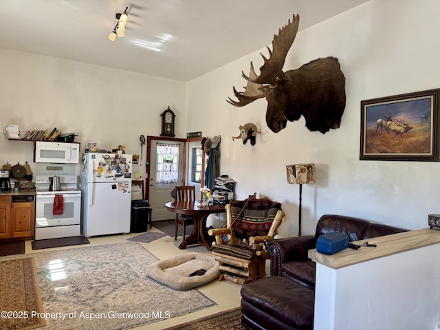 6398 County Road 4, Meeker, CO 81641 - view of living area