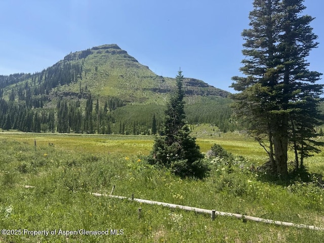 6398 County Road 4, Meeker, CO 81641 - view of mountain background with a forest