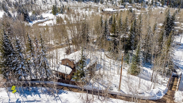 view of snowy aerial view