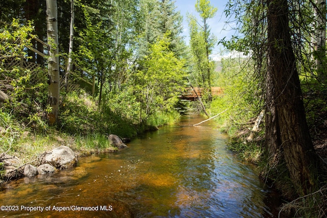 property view of water