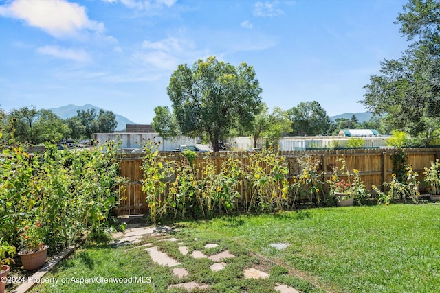 570 Redstone Ave, Carbondale, CO 81623 - photo 18