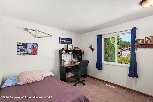 570 Redstone Ave, Carbondale, CO 81623 - photo 10
