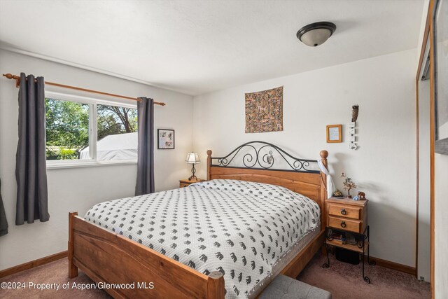 570 Redstone Ave, Carbondale, CO 81623 - photo 8