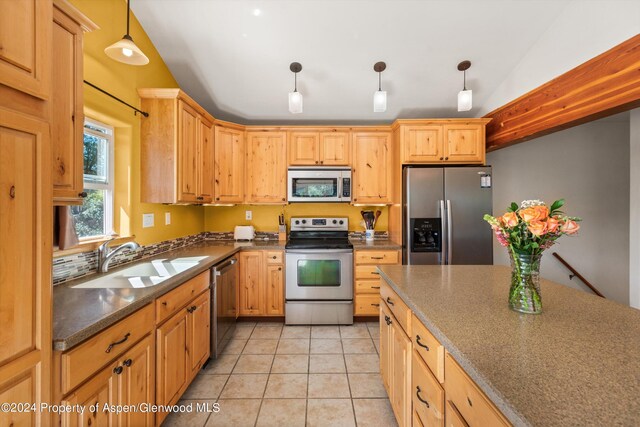 570 Redstone Ave, Carbondale, CO 81623 - photo 5
