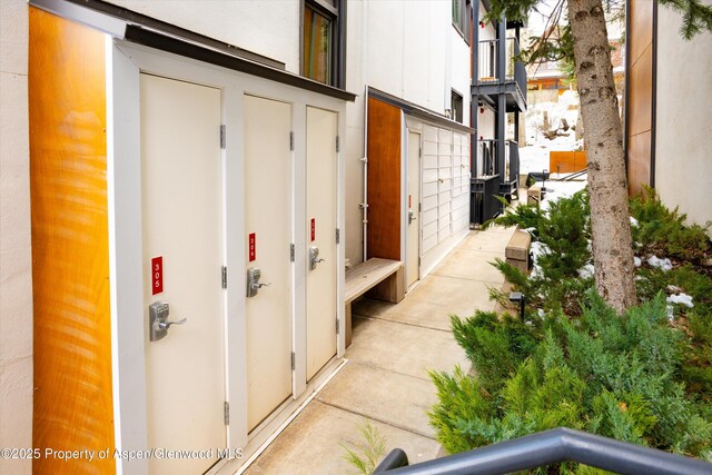 800 S Mill St Unit 304D, Aspen, CO 81611 - view of home's exterior with mail area