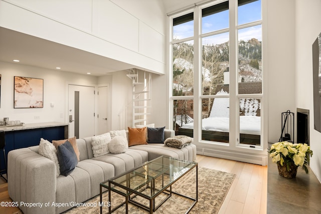 800 S Mill St Unit 304D, Aspen, CO 81611 - living area with a baseboard heating unit, recessed lighting, and wood finished floors