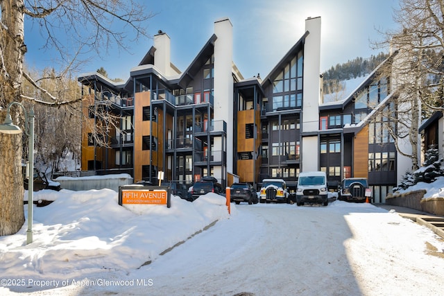 800 S Mill St Unit 304D, Aspen, CO 81611 - view of snow covered building