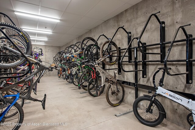 253 Wulfsohn Rd Unit 226, Glenwood Springs, CO 81601 - garage featuring bike storage