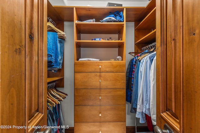 view of walk in closet