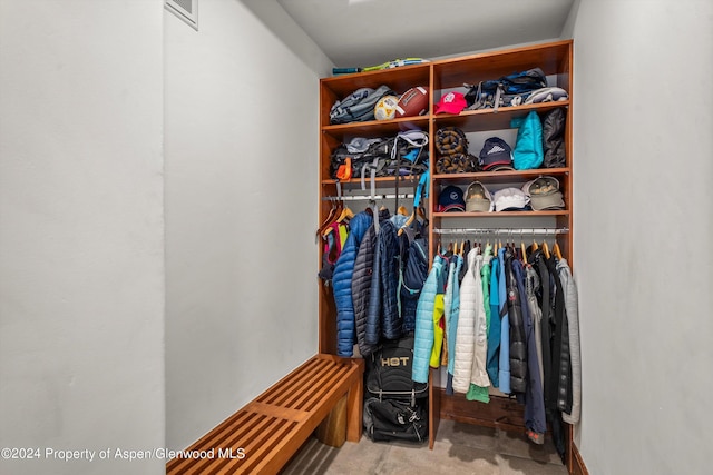 spacious closet featuring carpet flooring