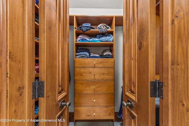 view of closet