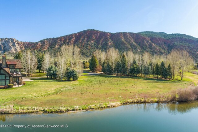 156 Osprey Cir, Carbondale, CO 81623 - photo 10