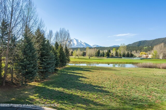 156 Osprey Cir, Carbondale, CO 81623 - photo 11