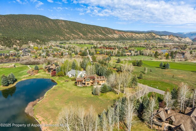 156 Osprey Cir, Carbondale, CO 81623 - photo 17