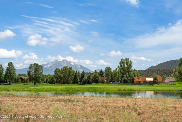 156 Osprey Cir, Carbondale, CO 81623 - photo 4