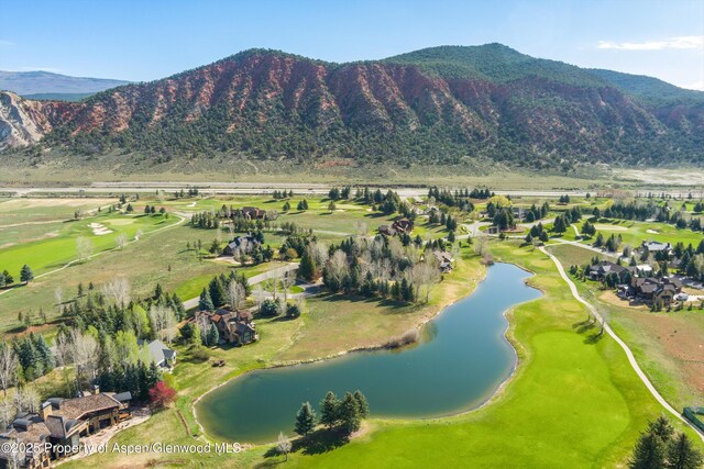 156 Osprey Cir, Carbondale, CO 81623 - photo 23