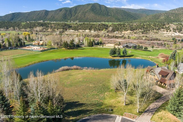 156 Osprey Cir, Carbondale, CO 81623 - photo 16