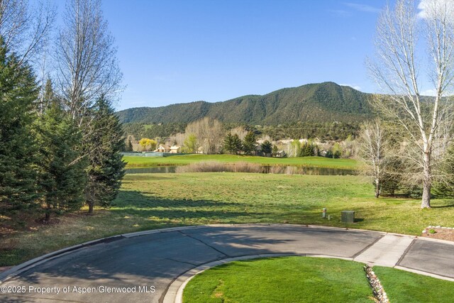 156 Osprey Cir, Carbondale, CO 81623 - photo 24