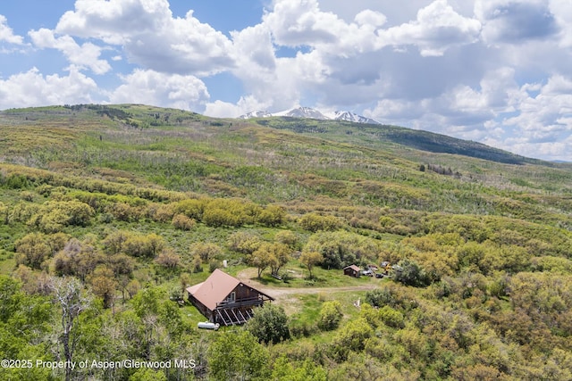 3714 Bear Ridge Rd, Basalt, CO 81621 - view of mountain background featuring a forest