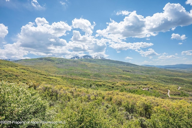 3714 Bear Ridge Rd, Basalt, CO 81621 - mountain view featuring a heavily wooded area