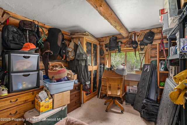3714 Bear Ridge Rd, Basalt, CO 81621 - view of storage