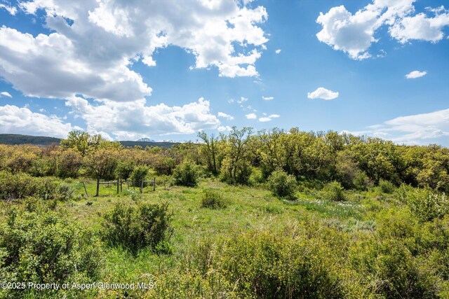 3714 Bear Ridge Rd, Basalt, CO 81621 - view of local wilderness