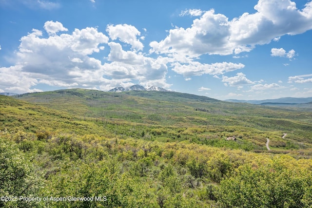 3714 Bear Ridge Rd, Basalt, CO 81621 - view of mountain background with a forest