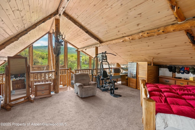 3714 Bear Ridge Rd, Basalt, CO 81621 - carpeted bedroom featuring wooden ceiling