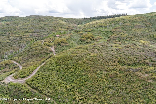 3714 Bear Ridge Rd, Basalt, CO 81621 - view of mountain background