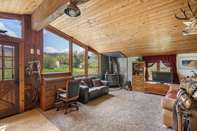 3714 Bear Ridge Rd, Basalt, CO 81621 - living area with a wood stove, vaulted ceiling, and wooden ceiling