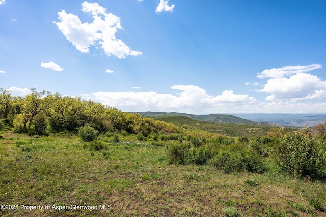 3714 Bear Ridge Rd, Basalt, CO 81621 - view of mountain background