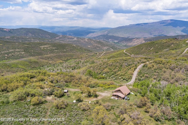 3714 Bear Ridge Rd, Basalt, CO 81621 - mountain view