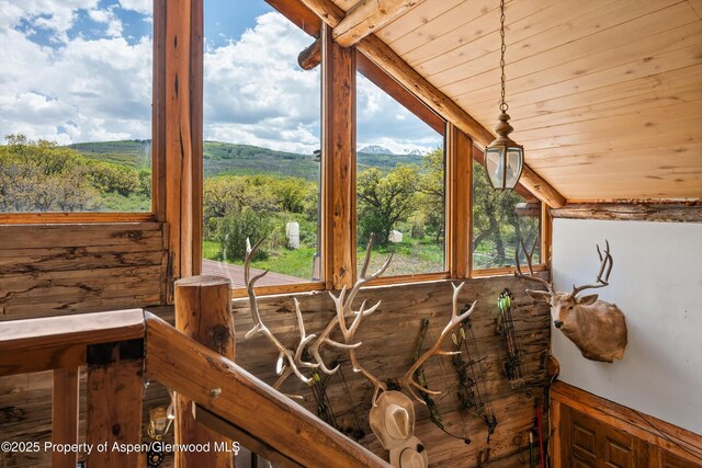 3714 Bear Ridge Rd, Basalt, CO 81621 - detailed view of wooden ceiling