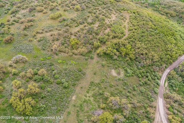 3714 Bear Ridge Rd, Basalt, CO 81621 - aerial overview of property's location