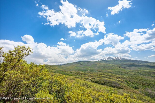 3714 Bear Ridge Rd, Basalt, CO 81621 - view of mountain background with a heavily wooded area