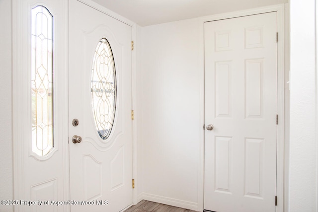 681 S 2nd St Unit A, Carbondale, CO 81623 - foyer entrance featuring light wood-type flooring and baseboards