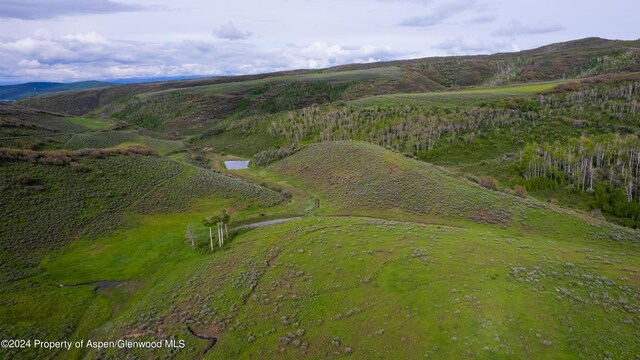 32771 County Road 27, Hayden, CO 81639 - photo 8