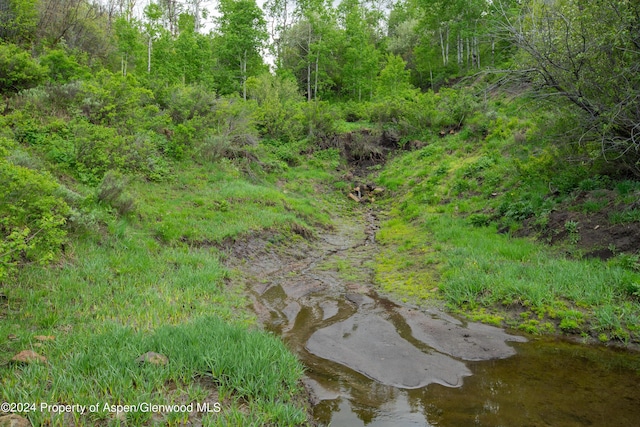 view of nature