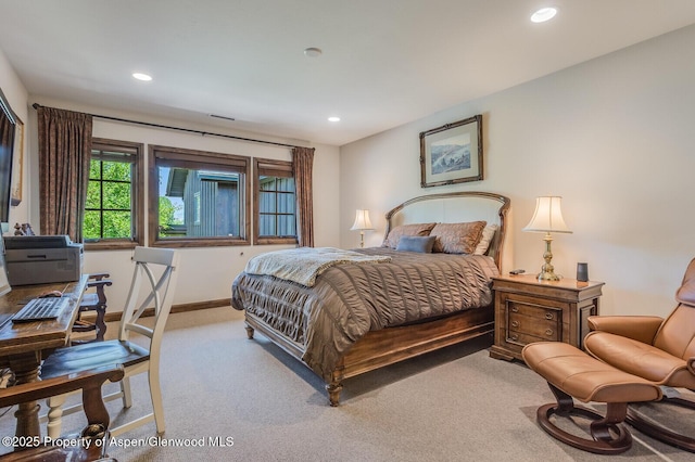 12 Rivers Bnd, Carbondale, CO 81623 - photo 23