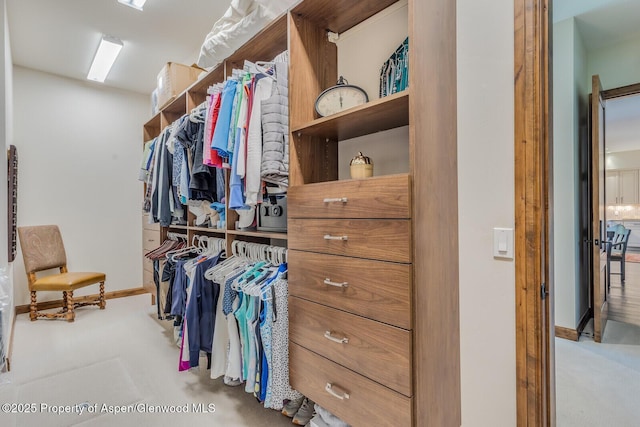 12 Rivers Bnd, Carbondale, CO 81623 - photo 16