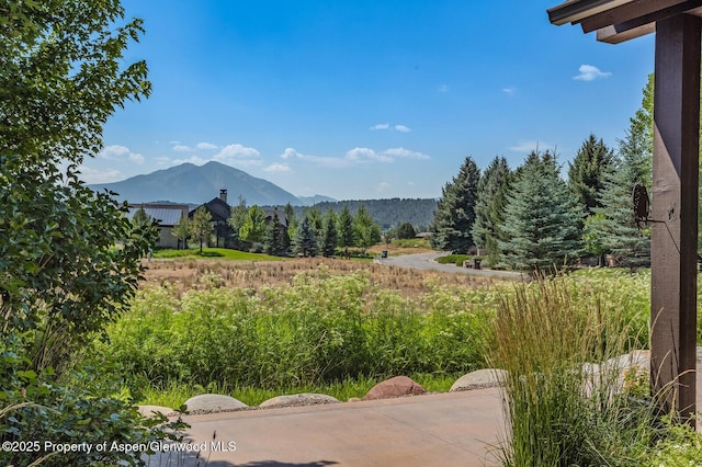 12 Rivers Bnd, Carbondale, CO 81623 - photo 3