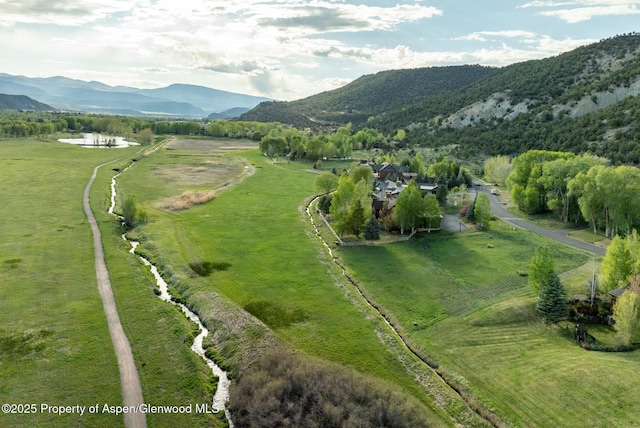 557 Larkspur Dr, Carbondale, CO 81623
