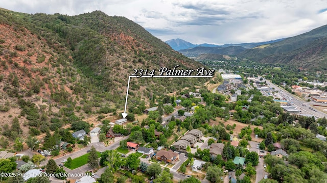 2314 Palmer Ave, Glenwood Springs, CO 81601 - photo 5