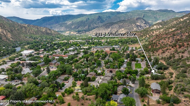 2314 Palmer Ave, Glenwood Springs, CO 81601 - photo 4
