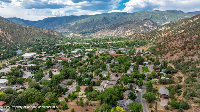 2314 Palmer Ave, Glenwood Springs, CO 81601 - photo 3