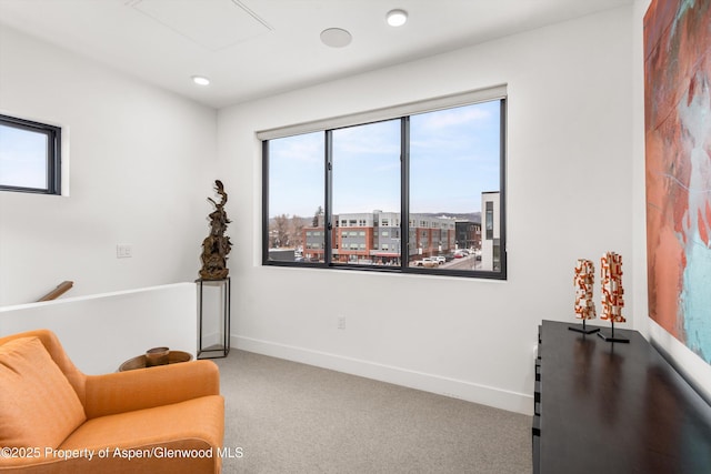 sitting room with carpet flooring