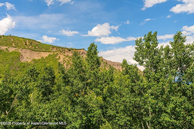 300 Carriage Way Unit 603, Snowmass Village, CO 81615 - mountain view