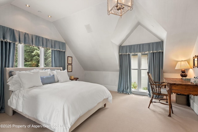 716 W Francis St, Aspen, CO 81611 - photo 38