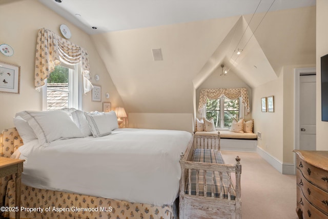 716 W Francis St, Aspen, CO 81611 - photo 33